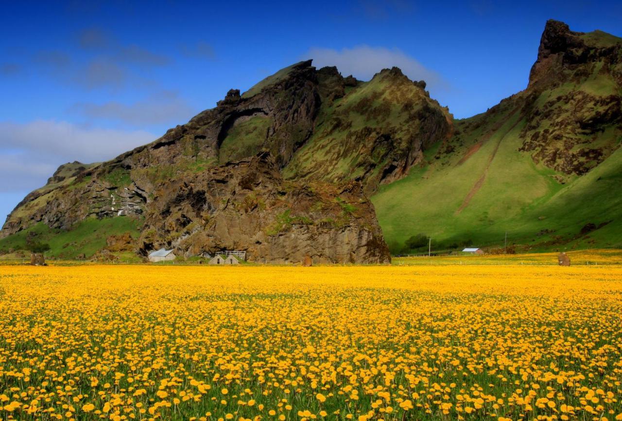 Cozy Cottage By Stay In Iceland 霍尔斯沃德吕尔 客房 照片